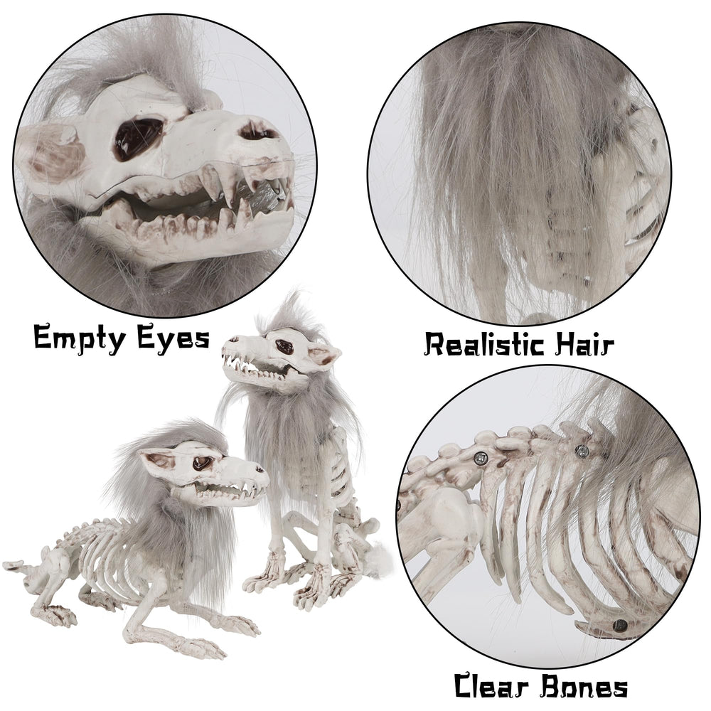 DR.DUDU Halloween Skeleton Wolf set packaging view