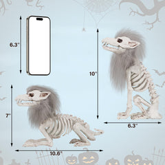 DR.DUDU Halloween Skeleton Wolf with detailed bone structure