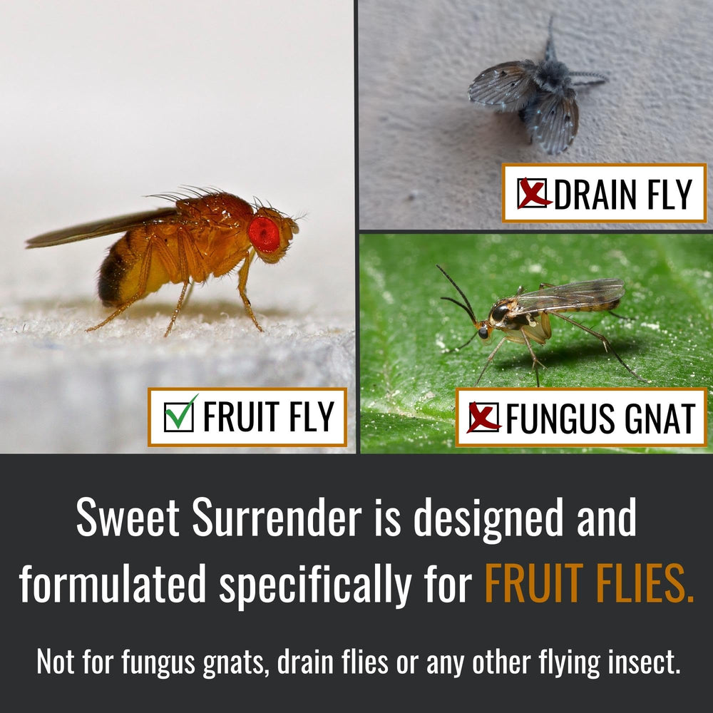 Dr. Killigan's Fruit Fly Trap Formula packaging side view