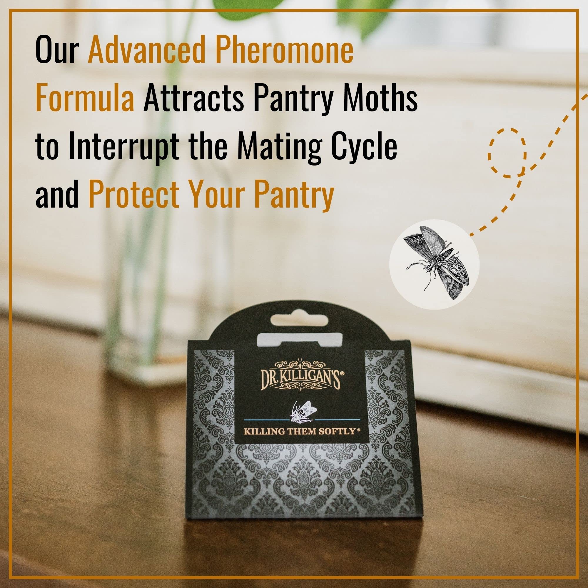 Dr. Killigan's pantry moth trap displayed in kitchen