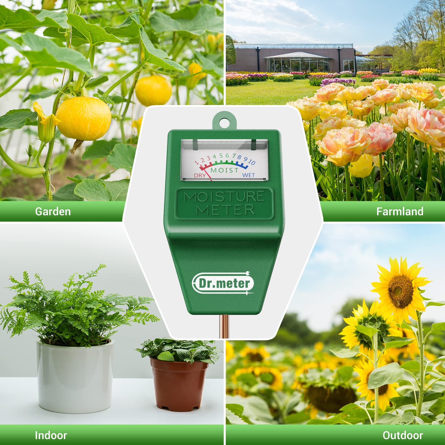 Dr.meter Soil Moisture Meter with plants