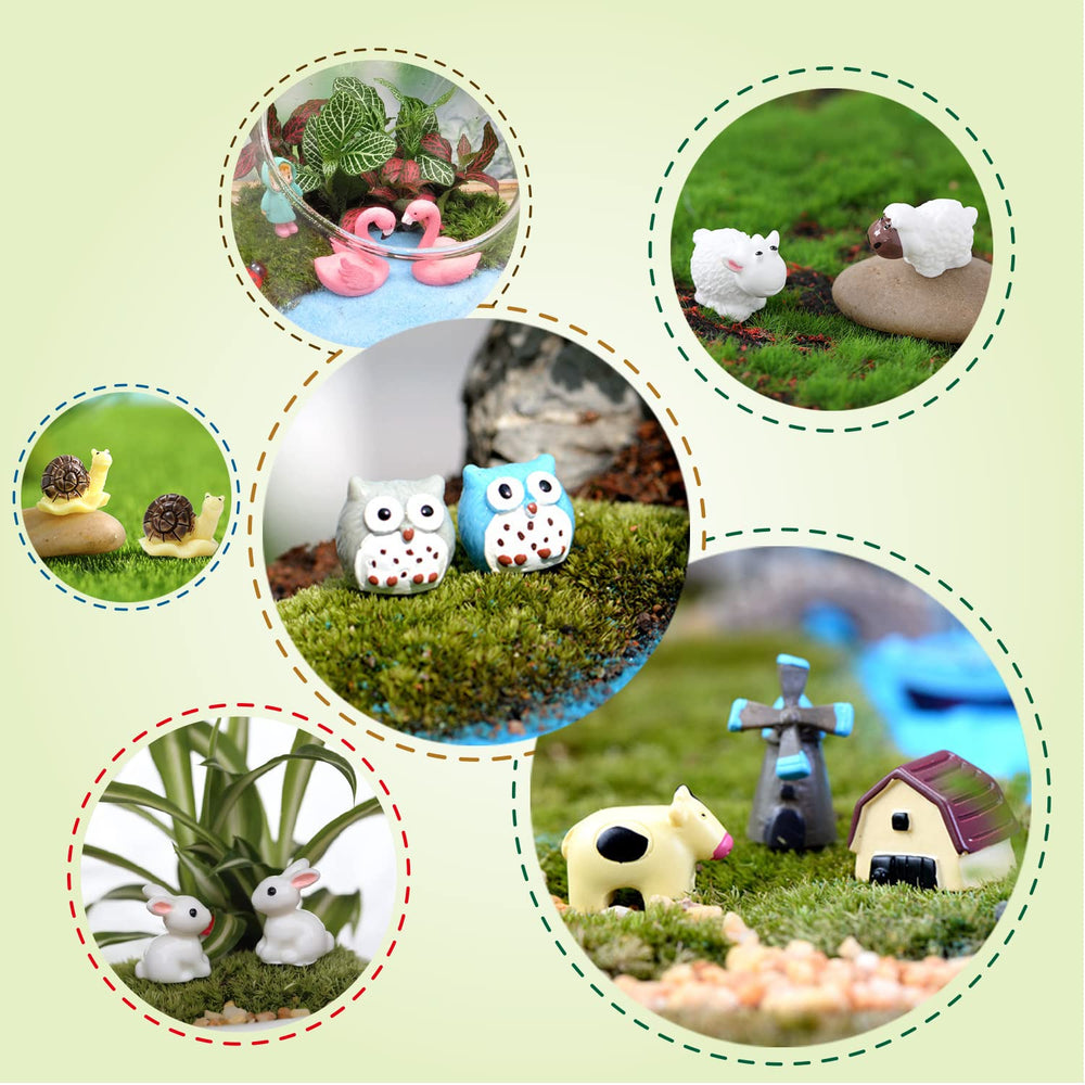 Dracarys fairy garden accessories in a decorative box