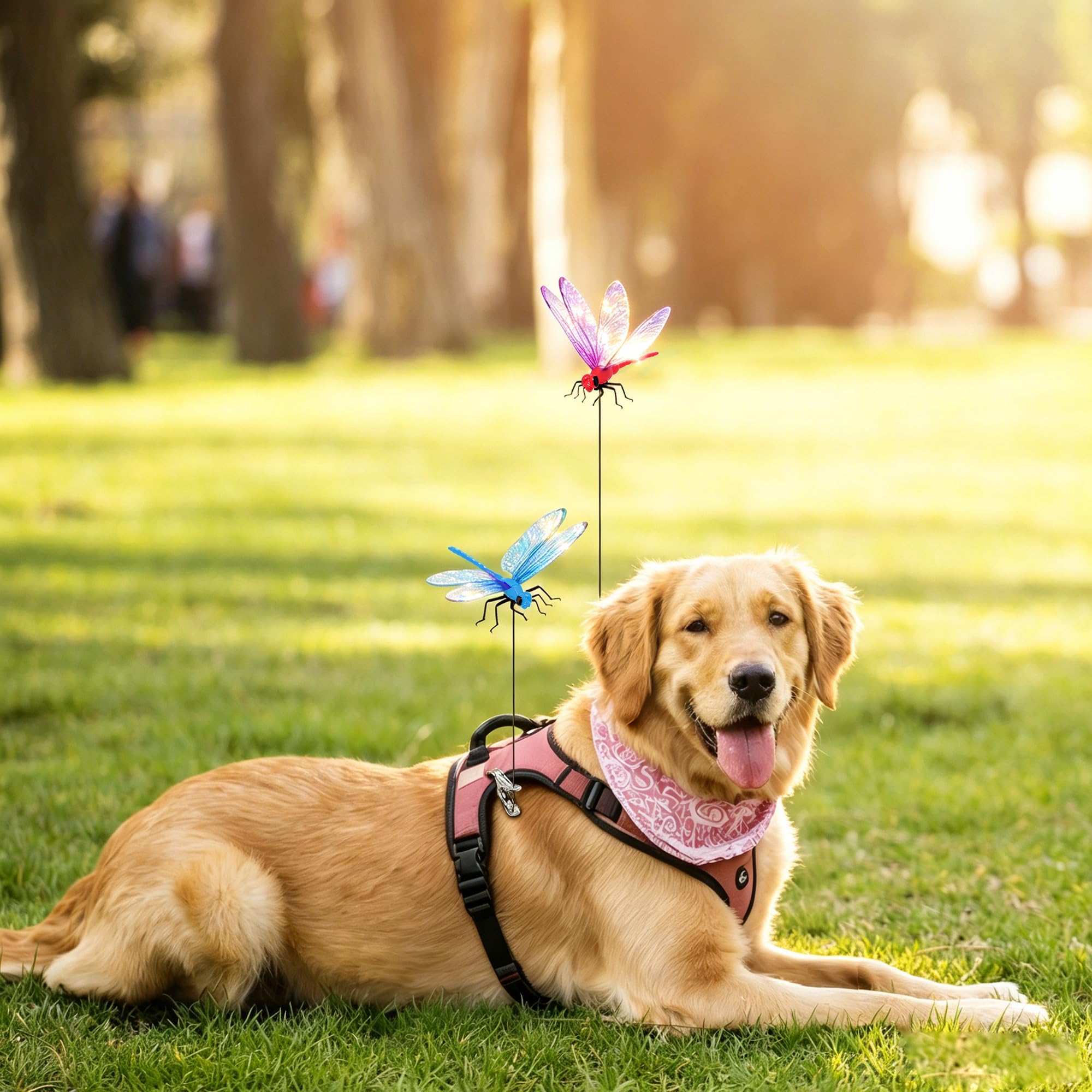 Dragonfly clips attached to a backpack for fun outdoor accessory