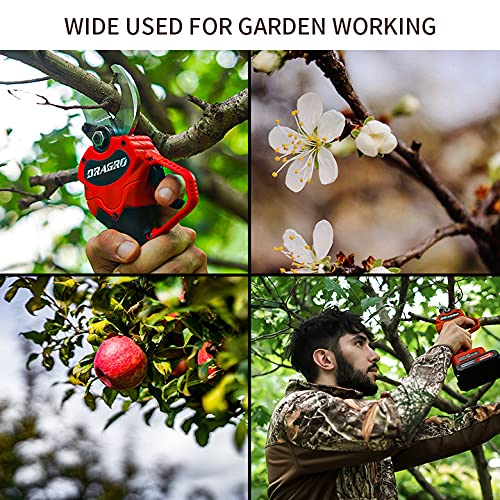 Dragro Electric Pruning Shears accessories and tools included