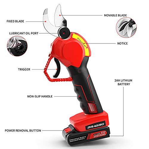 Dragro Electric Pruning Shears in portable storage box