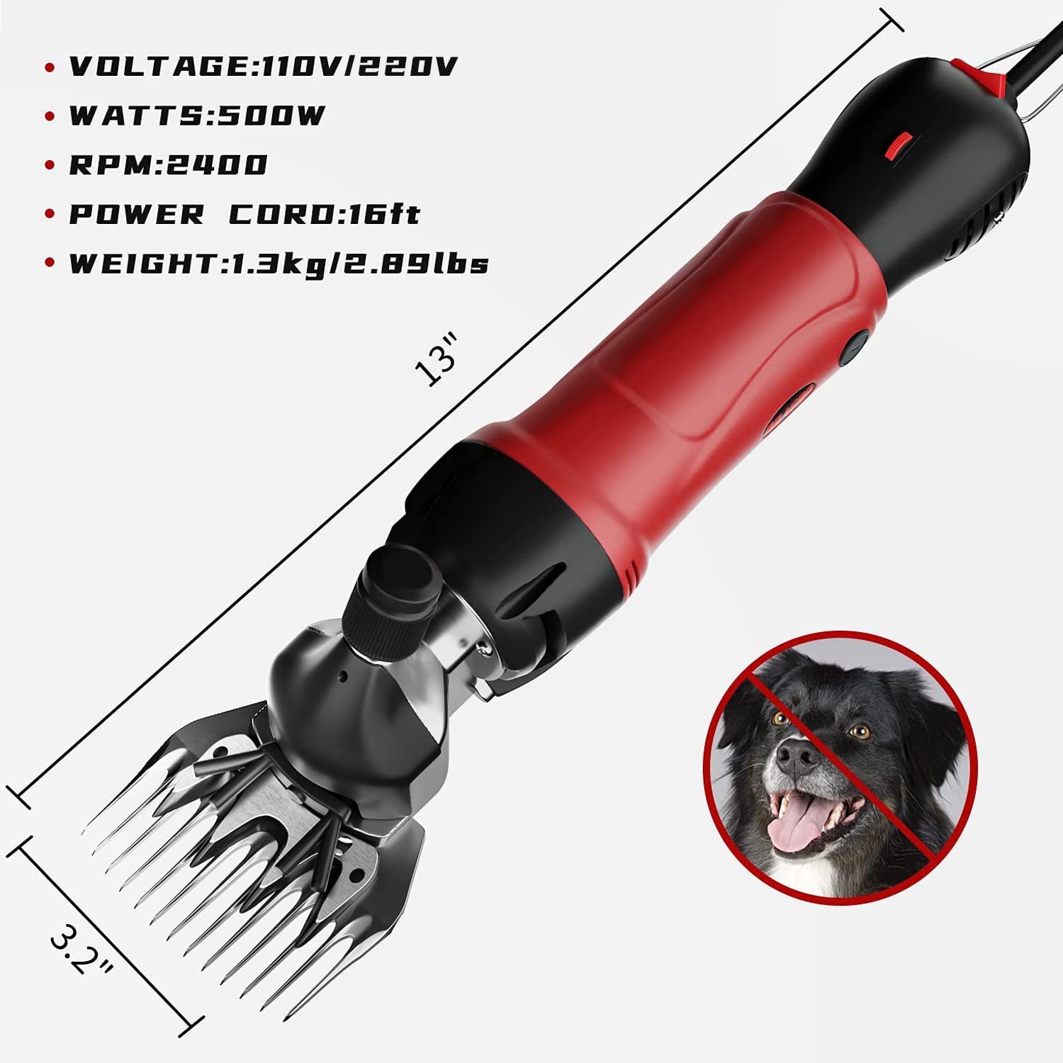 Dragro Sheep Shears in a grooming setup
