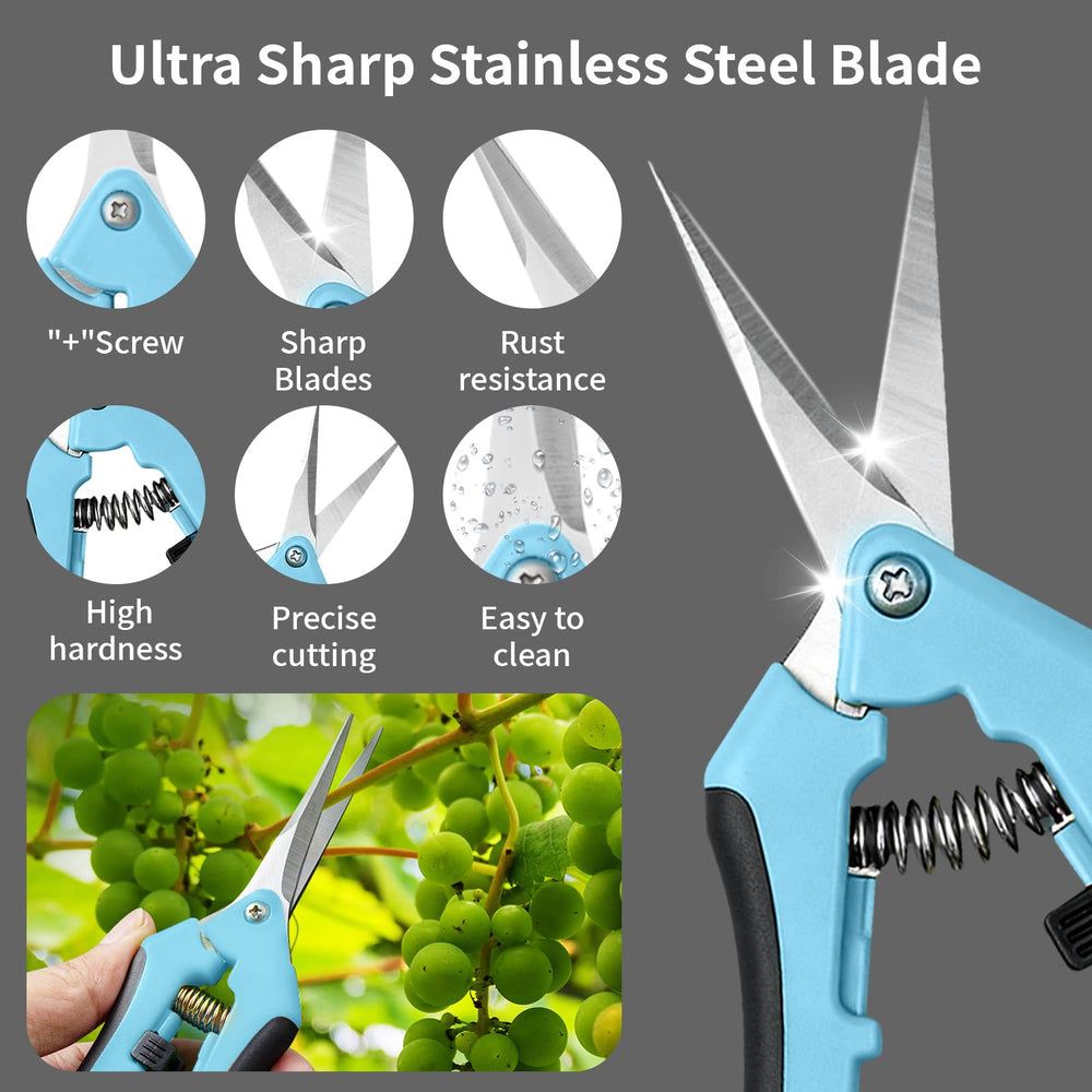 Drametic+ blue pruning shears from the pack