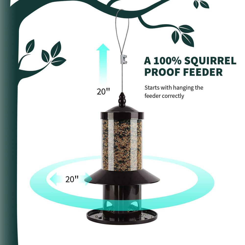 Dreamdrawer Squirrel-Proof Bird Feeder close-up of feeding ports