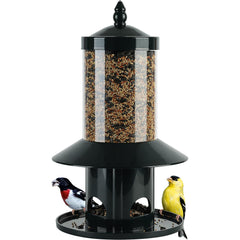 Dreamdrawer Squirrel-Proof Bird Feeder dark green front view