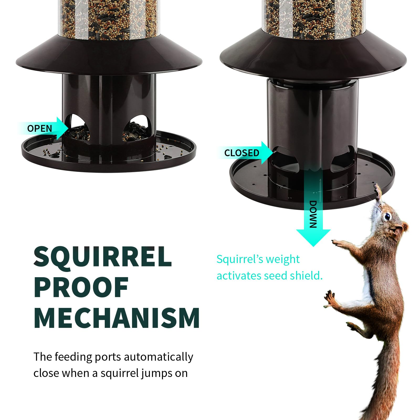 Dreamdrawer Squirrel-Proof Bird Feeder roof button close-up