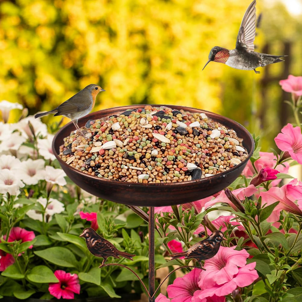 DREAMSOUL Bird Bath with vibrant garden background