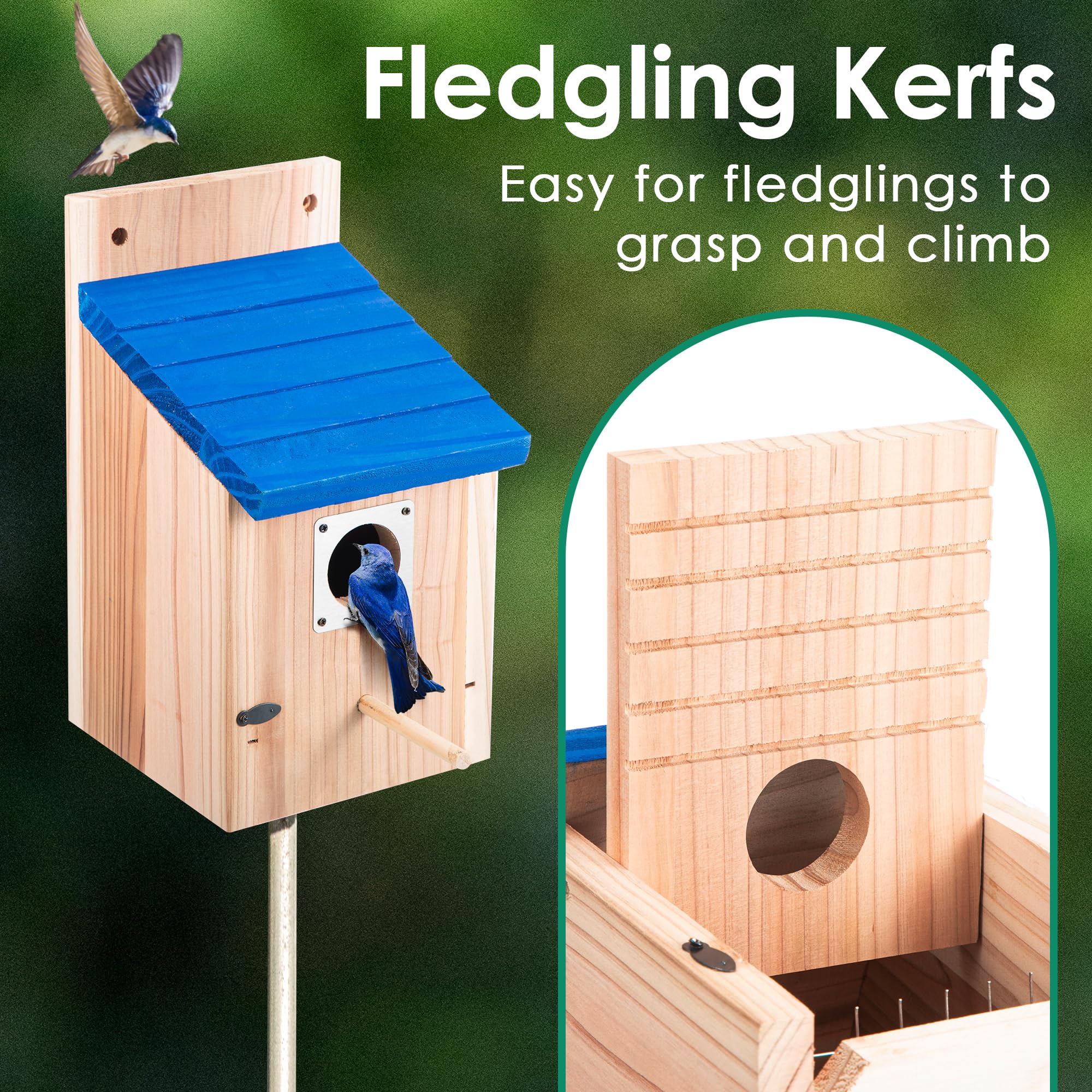 Dreyoo Bluebird House displayed in a garden setting