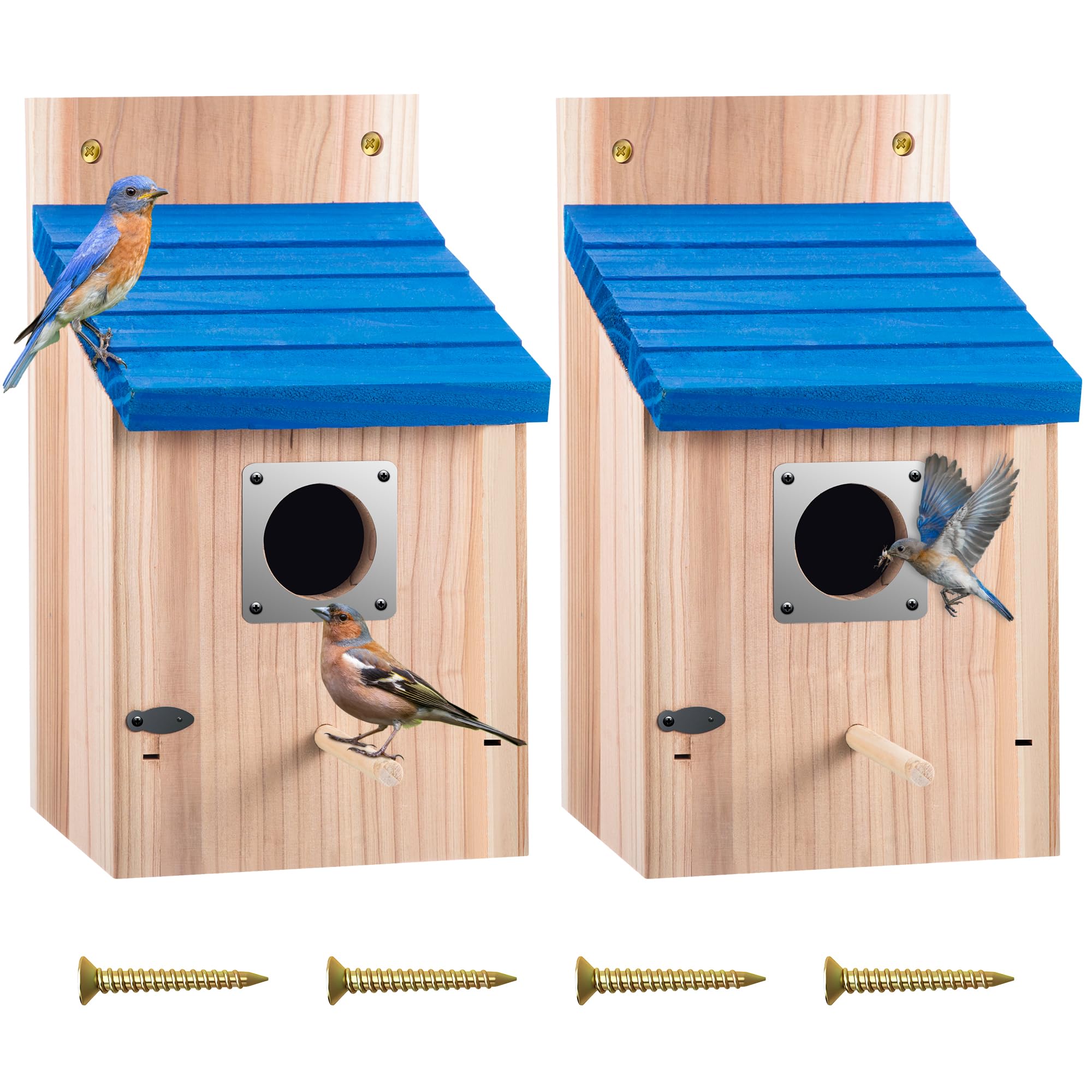 Dreyoo Bluebird House front view with blue roof