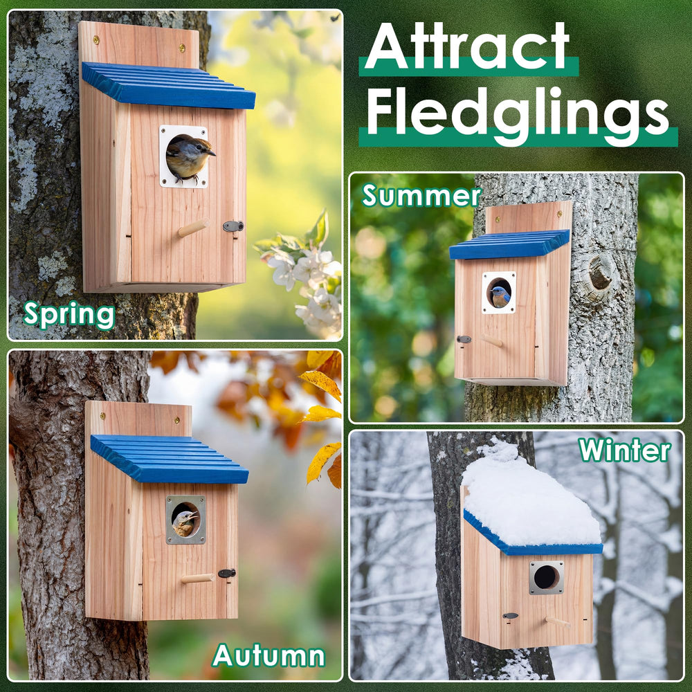 Dreyoo Bluebird House in garden setting