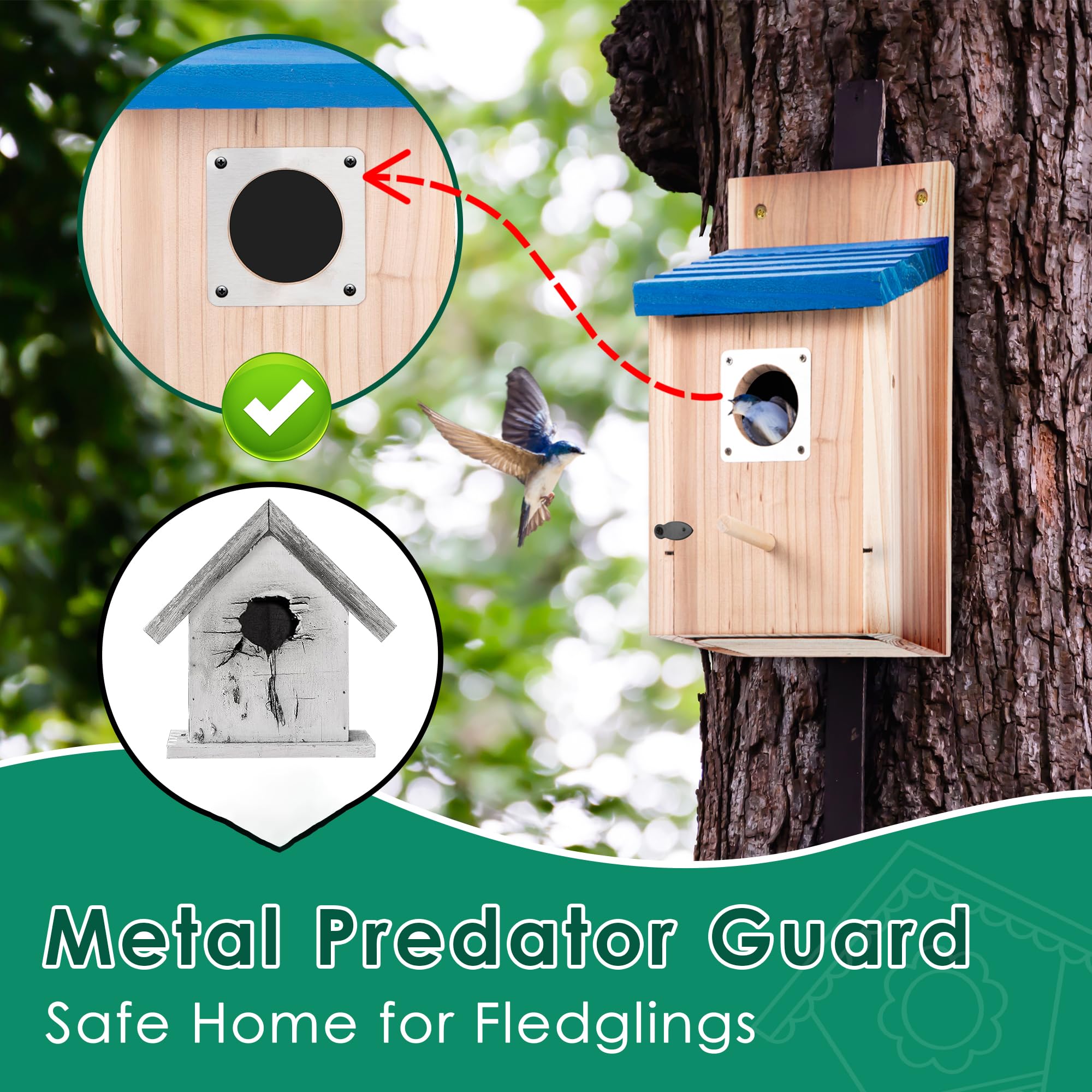 Dreyoo Bluebird House side view showing wood texture