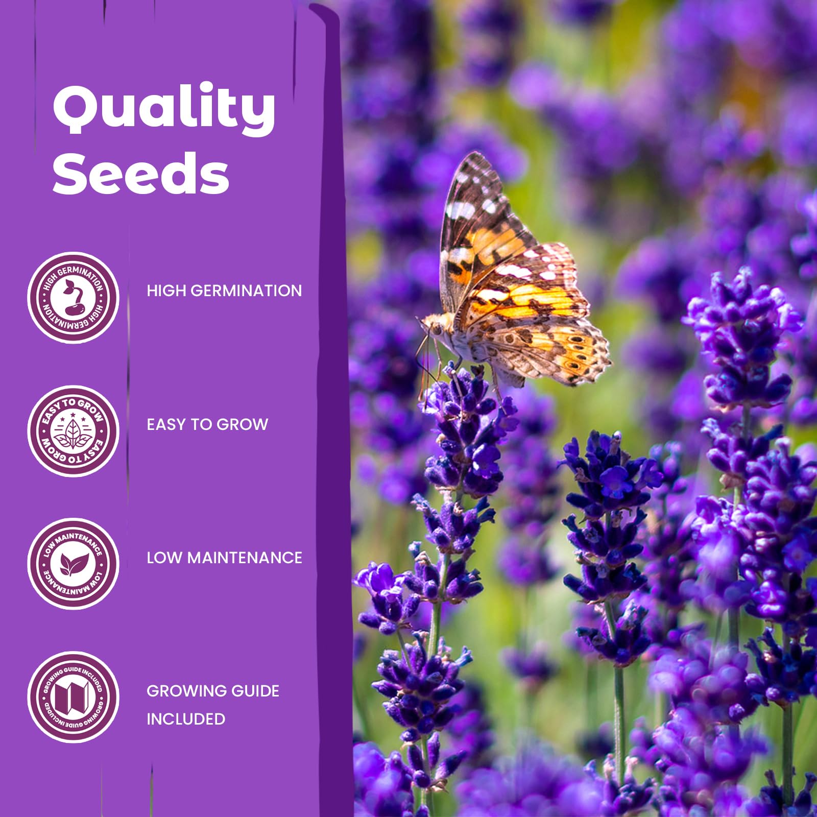 Dried lavender sachets for aromatherapy and crafts