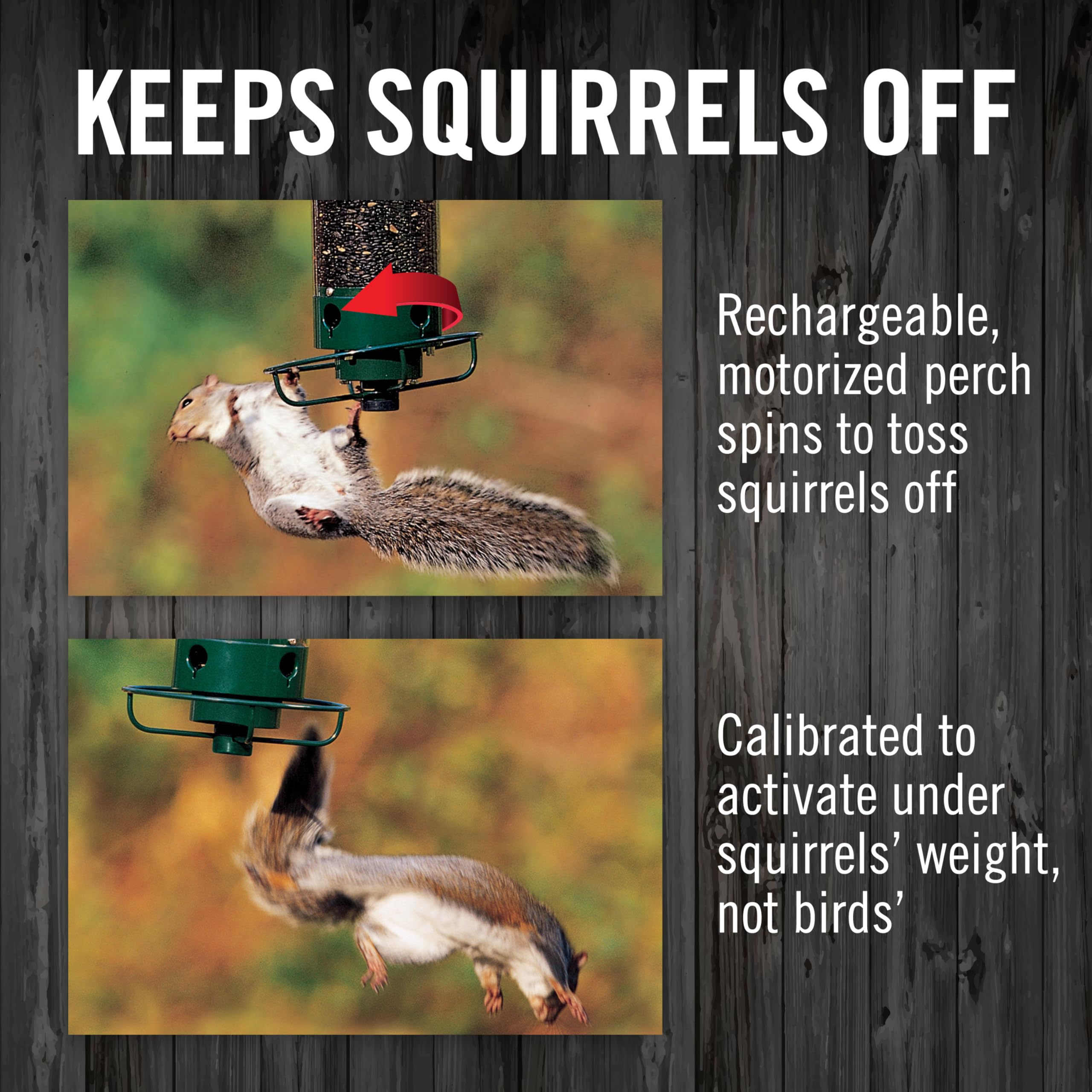 Droll Yankees feeder in garden with birds feeding from it