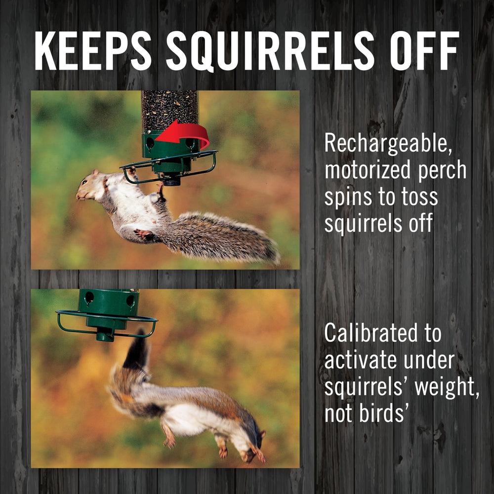 Droll Yankees feeder in garden with birds feeding from it