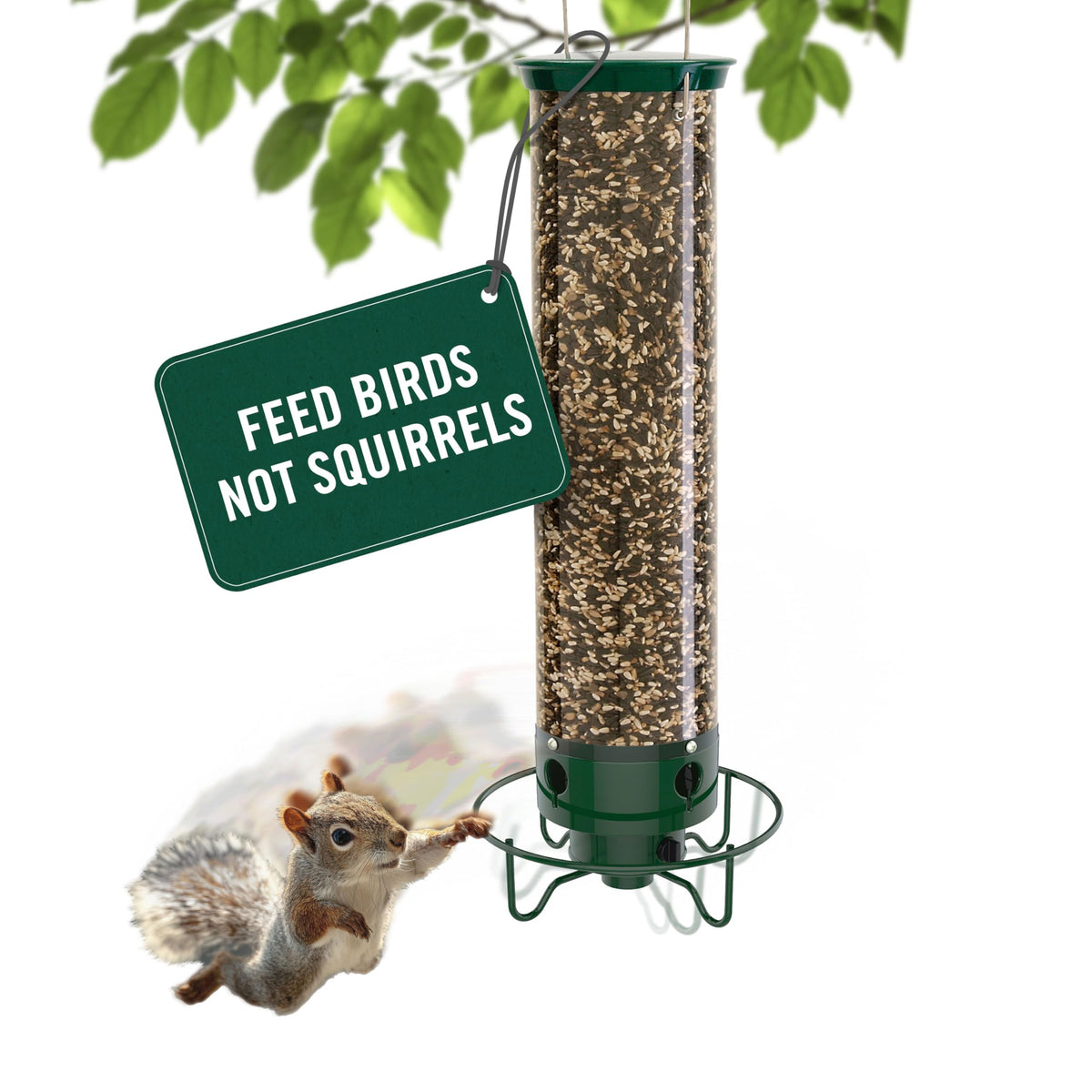Droll Yankees Squirrel Proof Bird Feeder front view with polycarbonate tube