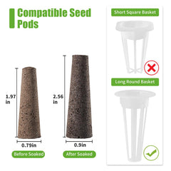 DRYADES Grow Sponges in use with seedlings