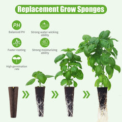 DRYADES Hydroponic Grow Sponges pack with sponges