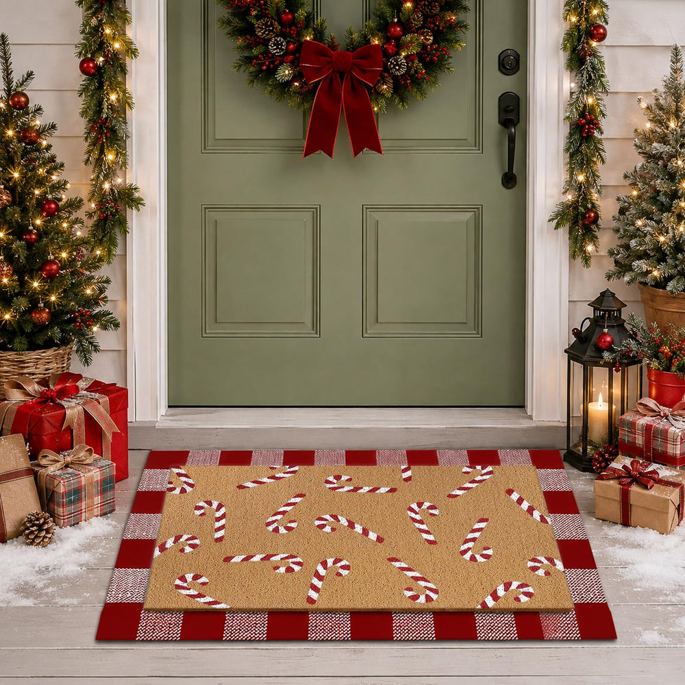 Drydiet doormat set in festive holiday decor setting