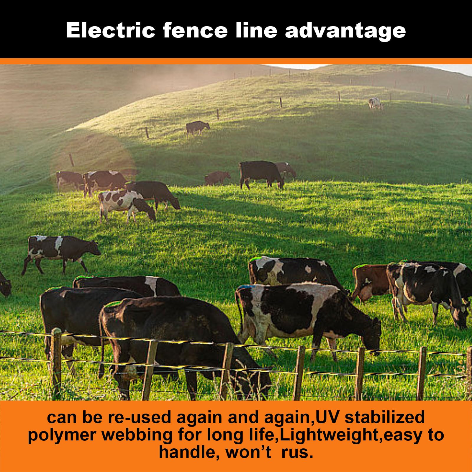 DSZBESTER Electric Fence Polywire packaging with dimensions