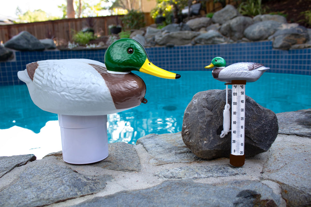 Duck design chlorine dispenser in a spa setting
