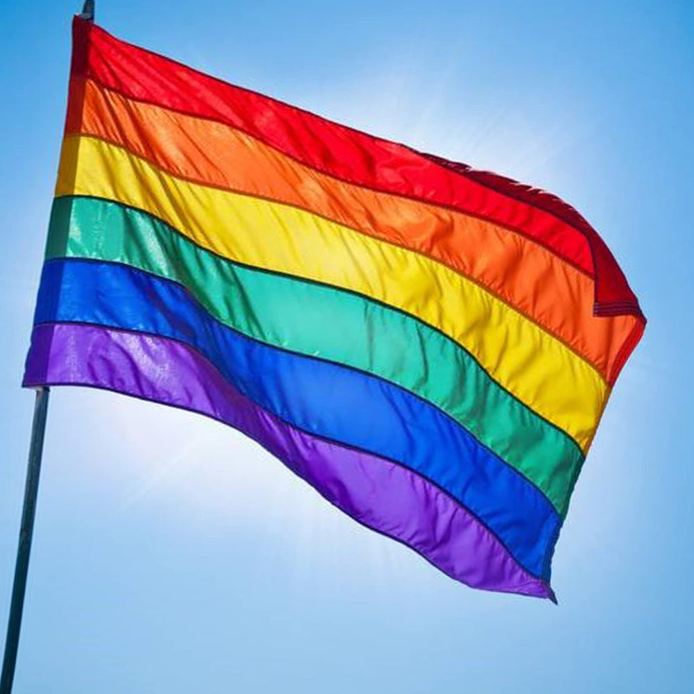ducuh Rainbow Pride Flag with bright colors in natural light