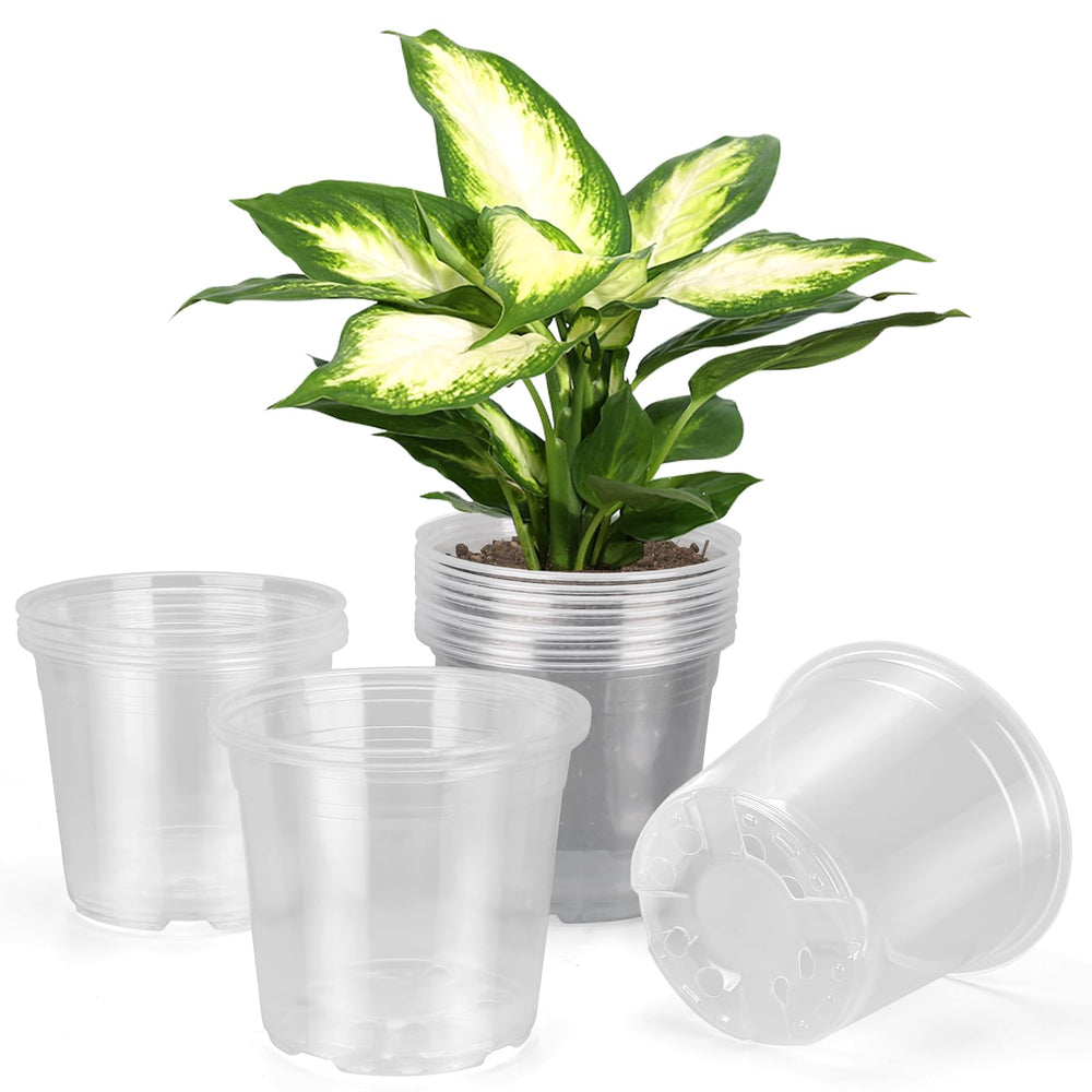 DUNPUTE 6 Inch Clear Nursery Pot front view