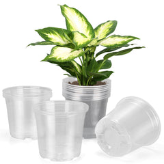 DUNPUTE 6 Inch Clear Nursery Pot front view