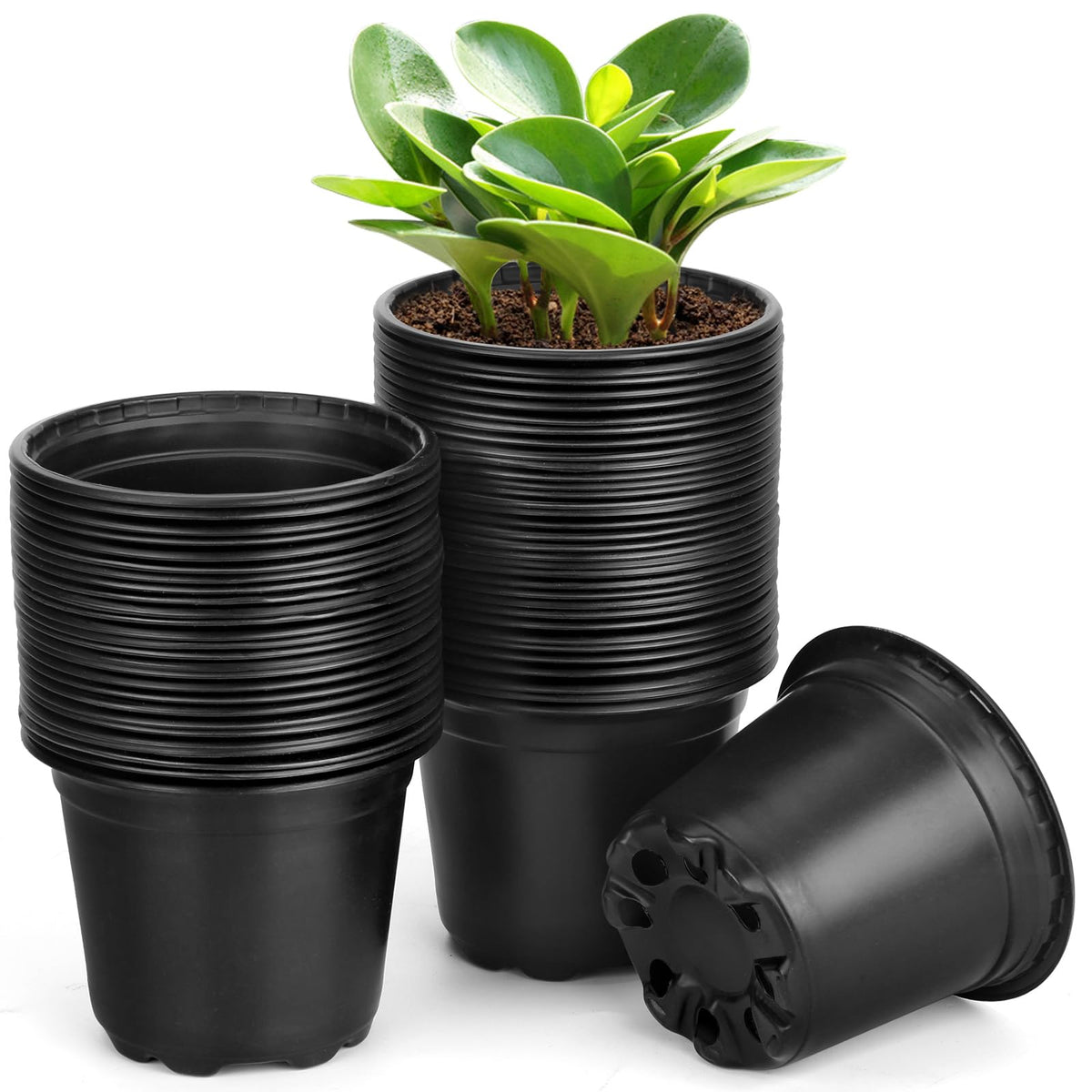 DUNPUTE 6 inch nursery pots pack front view