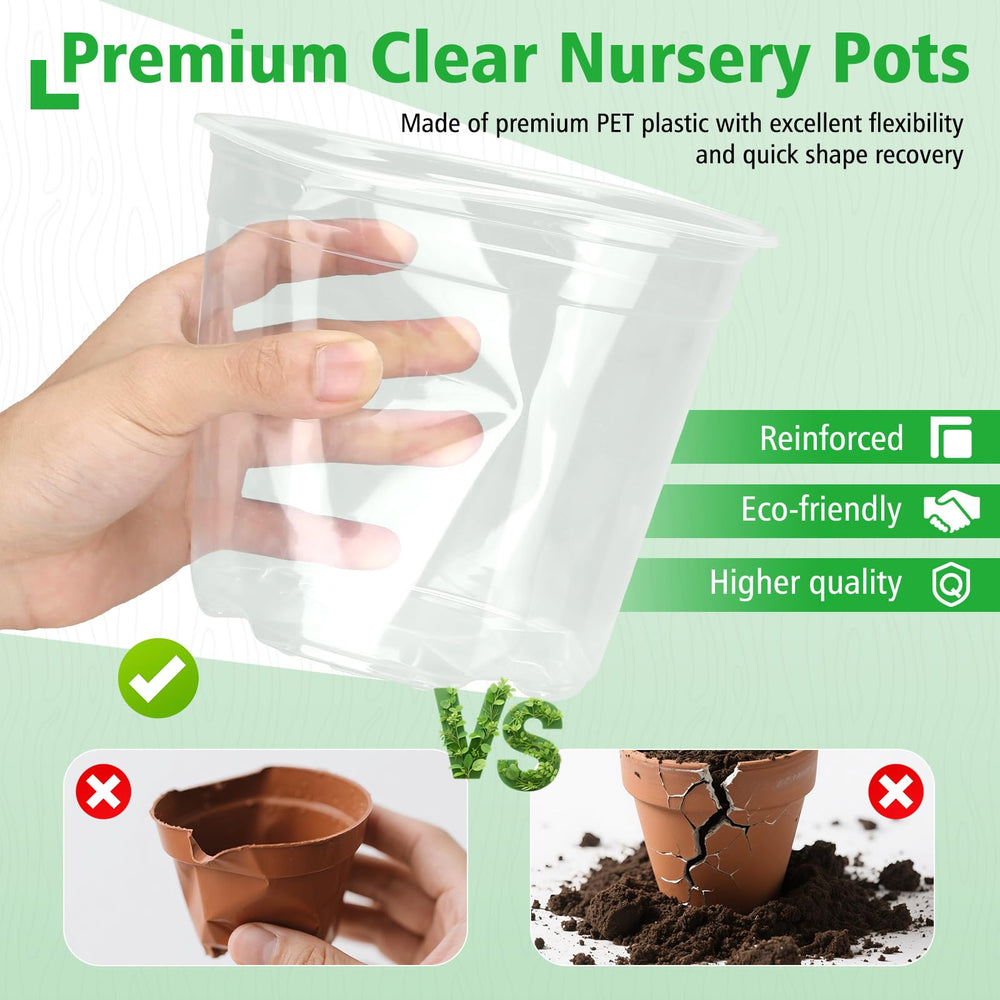 DUNPUTE Clear Nursery Pot with soil and seedlings