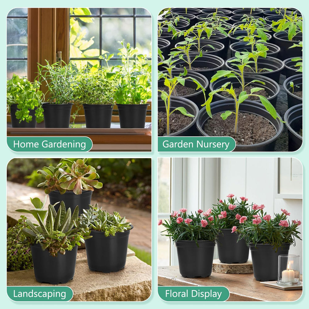 DUNPUTE nursery pots filled with soil and seedlings