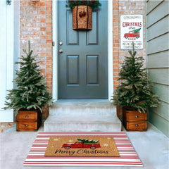 Duraaamo doormat and striped rug set side view