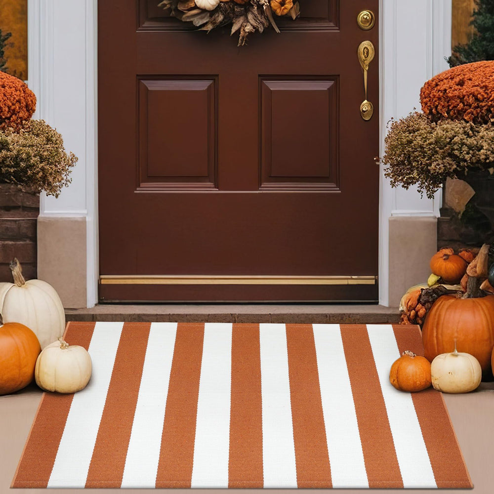 Duraaamo outdoor rug in a cozy home entryway