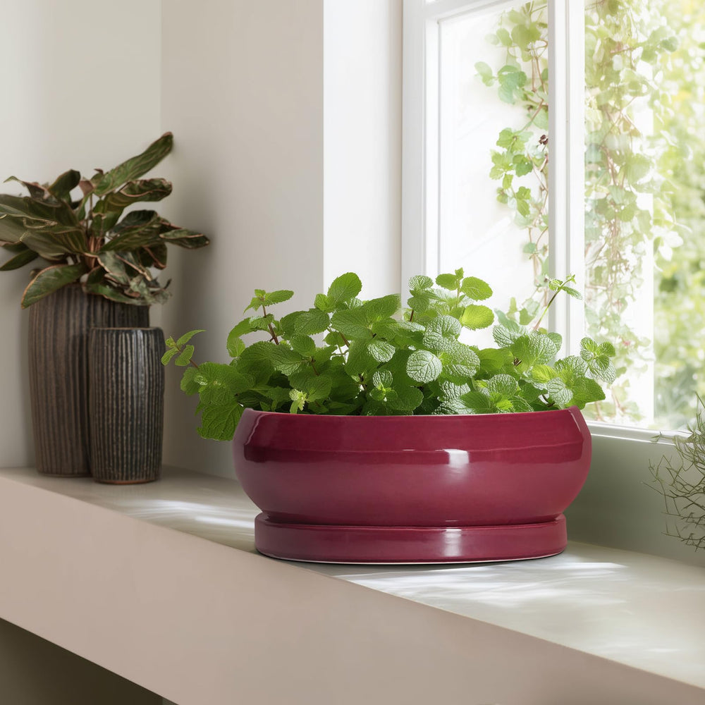 Durable ceramic material of EPFamily bonsai pot