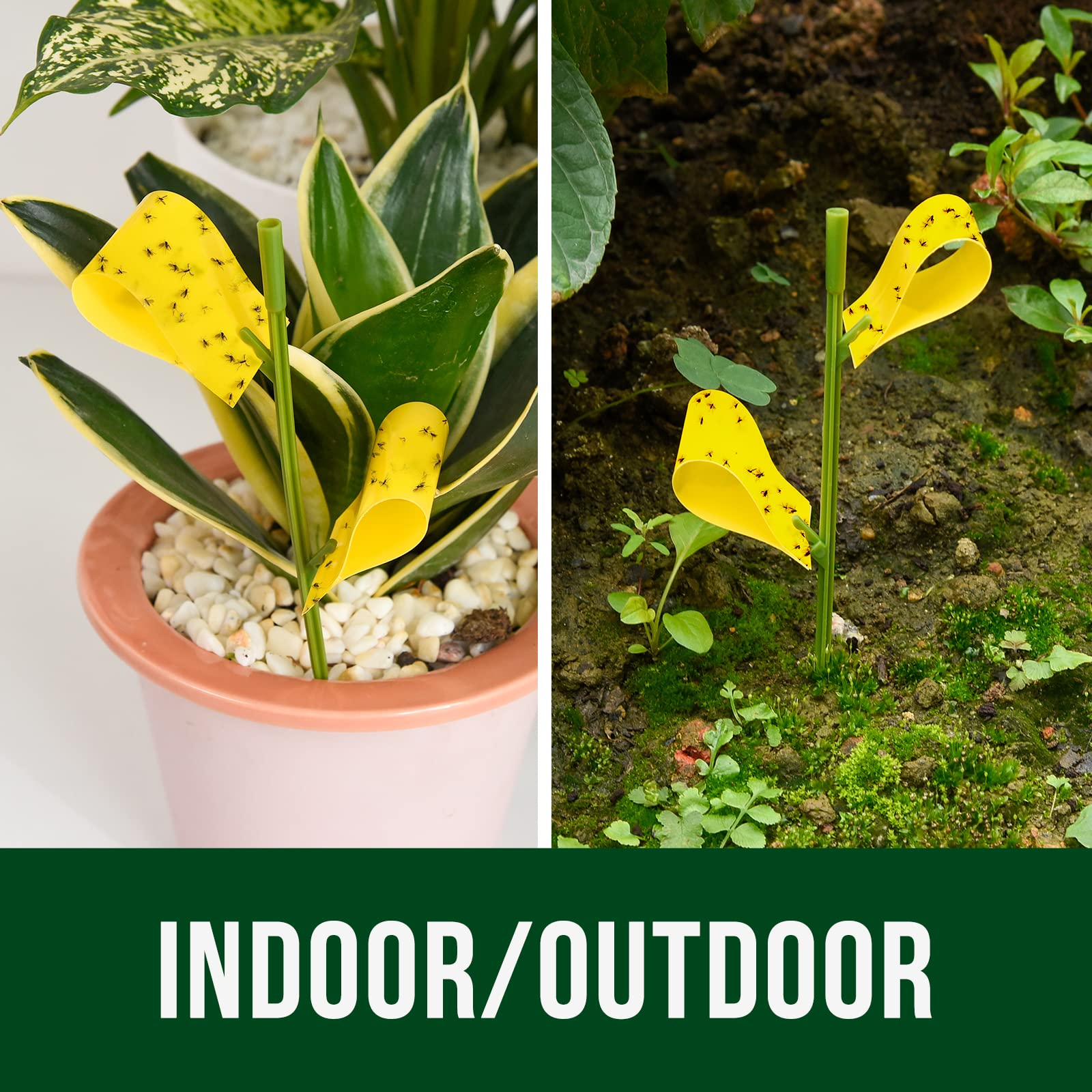 Durable Garsum Sticky Houseplant Trap outdoors