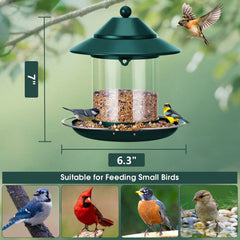Durable metal construction of MAXDORIA bird feeder