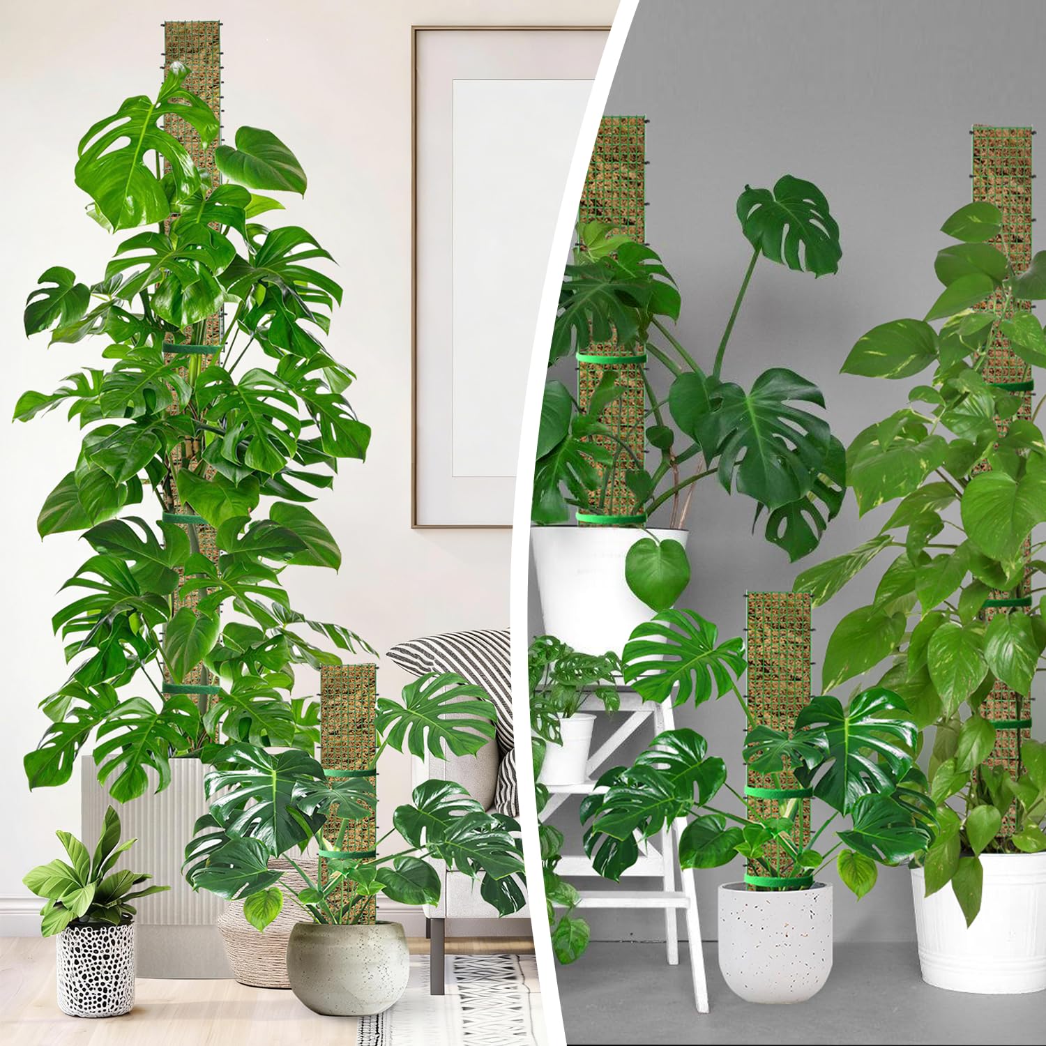 Durable metal mesh of the HOLANHING moss pole set