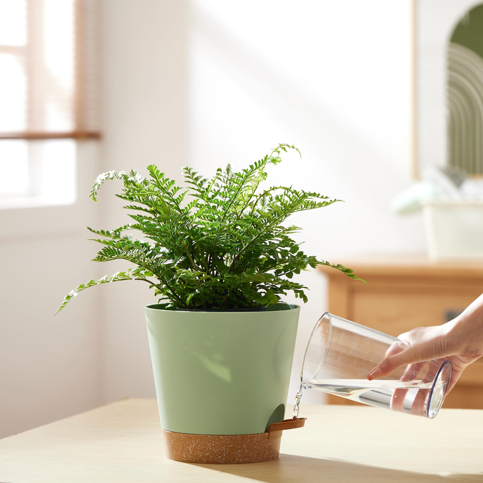 Durable plastic material of FaithLand planter pot