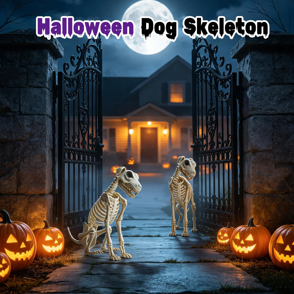 Dusk&Decorum Skeleton Dogs with Halloween decorations