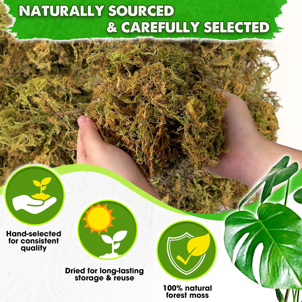 Duspro 10 Oz Real Dried Forest Moss packaging