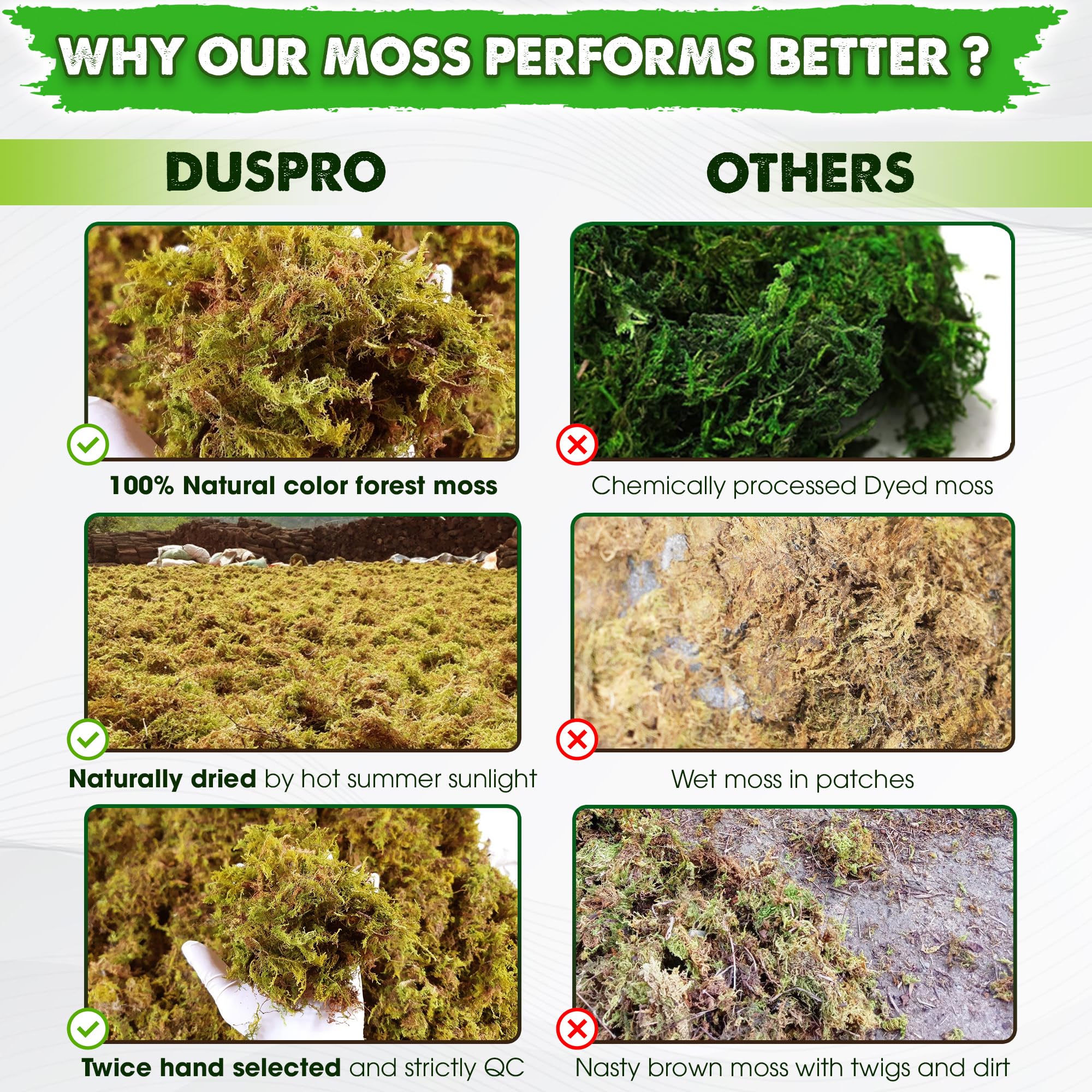 Duspro 10 Oz Real Dried Forest Moss texture close-up