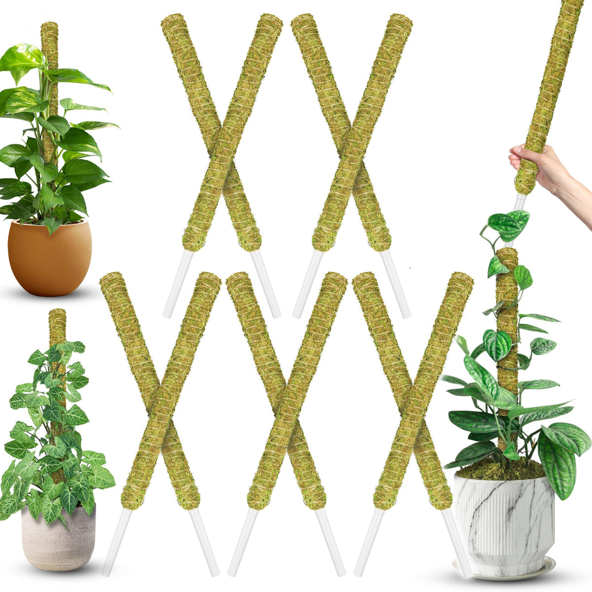 Duspro 10Pcs 22'' Natural Stackable Moss Pole front view with green moss surface