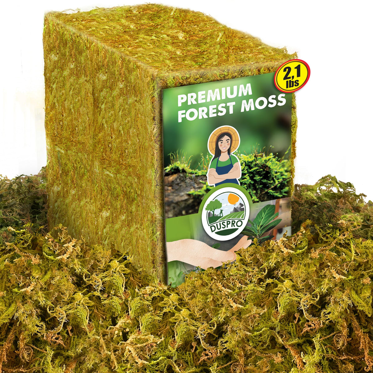 Duspro 2.1 Lbs Real Dried Forest Moss front view