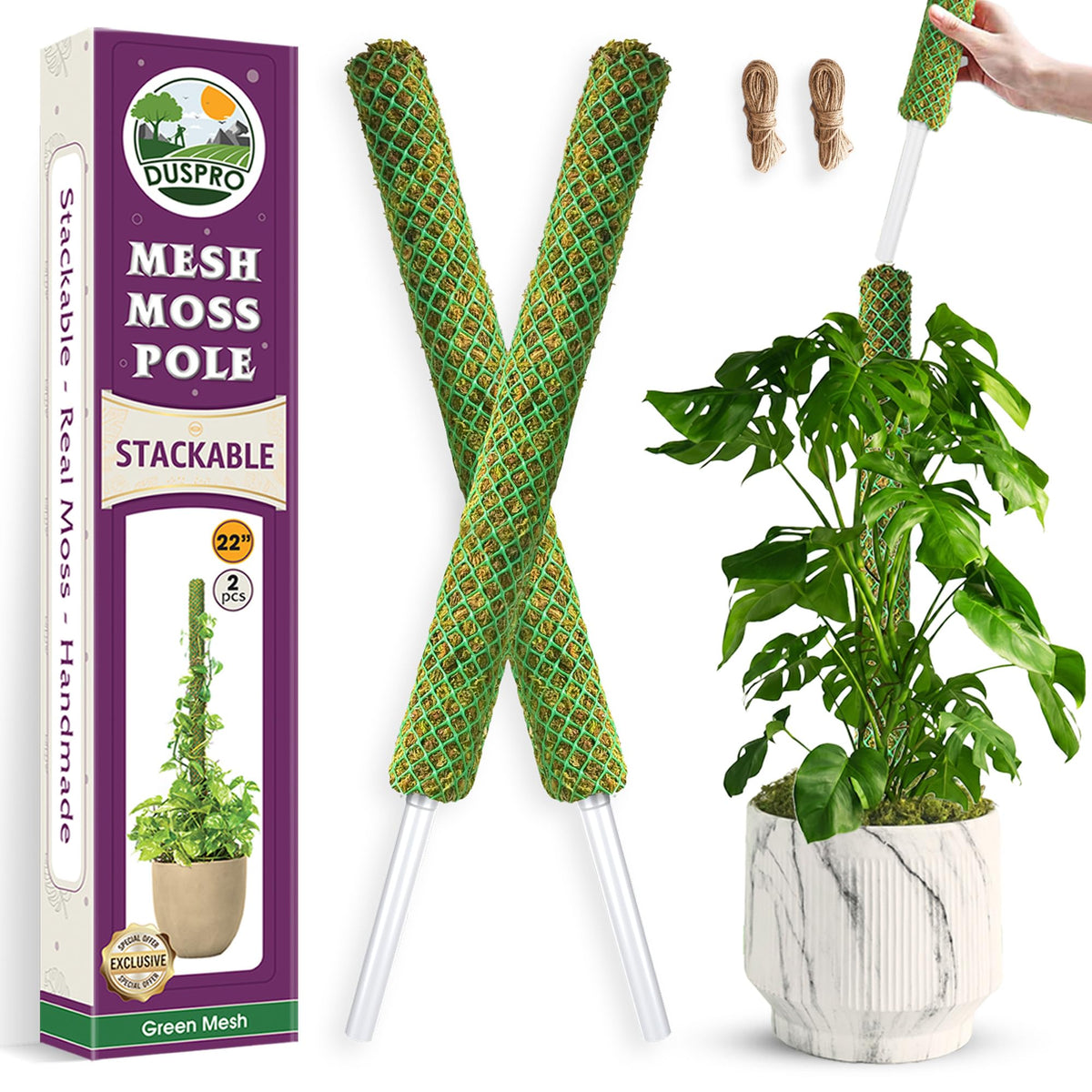 Duspro 22-inch green moss pole front view with natural moss surface