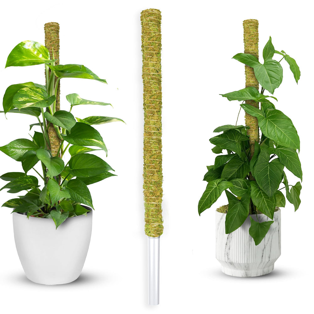 Duspro 22-inch stackable moss pole front view with natural moss