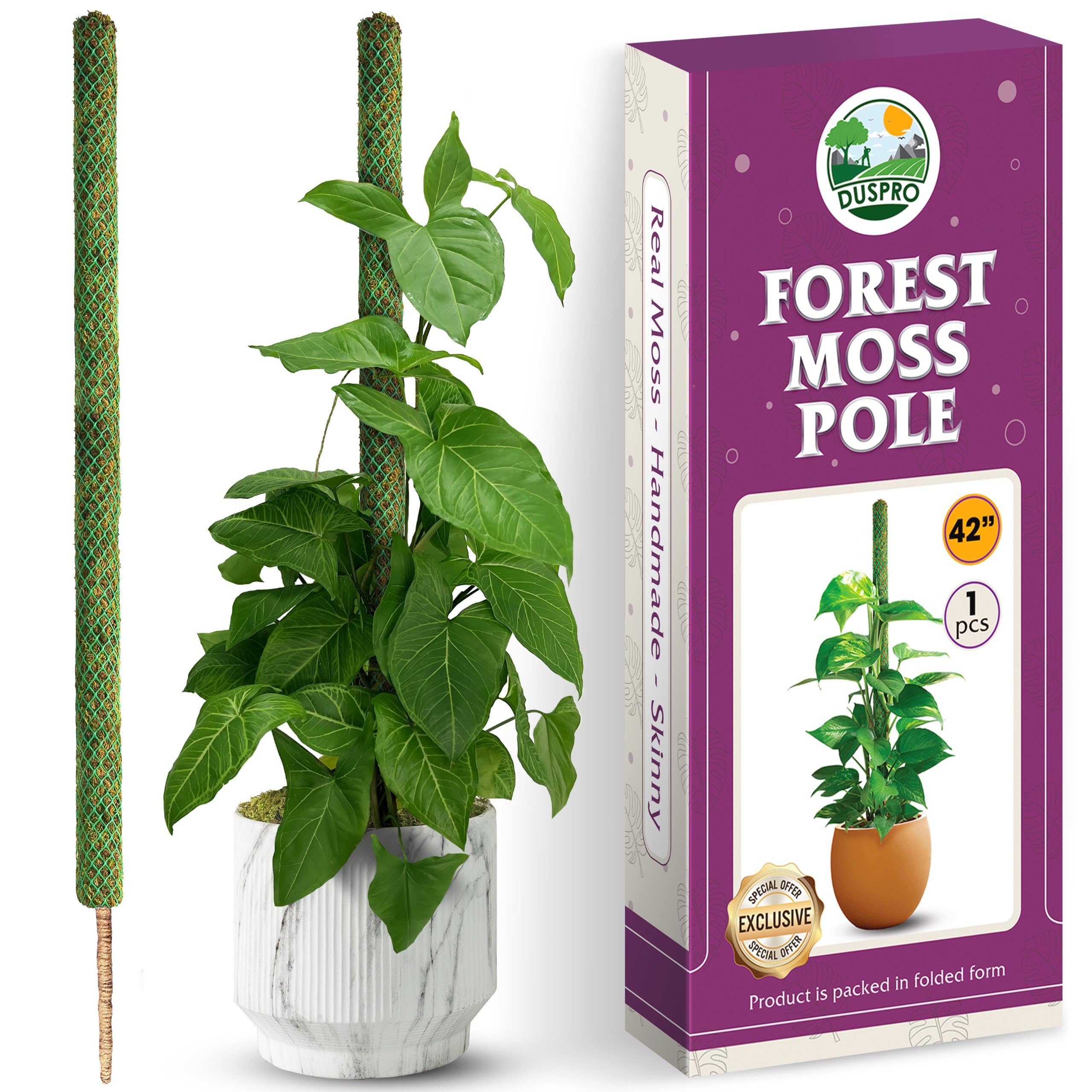 Duspro 42" Moss Pole with Natural Forest Moss Surface