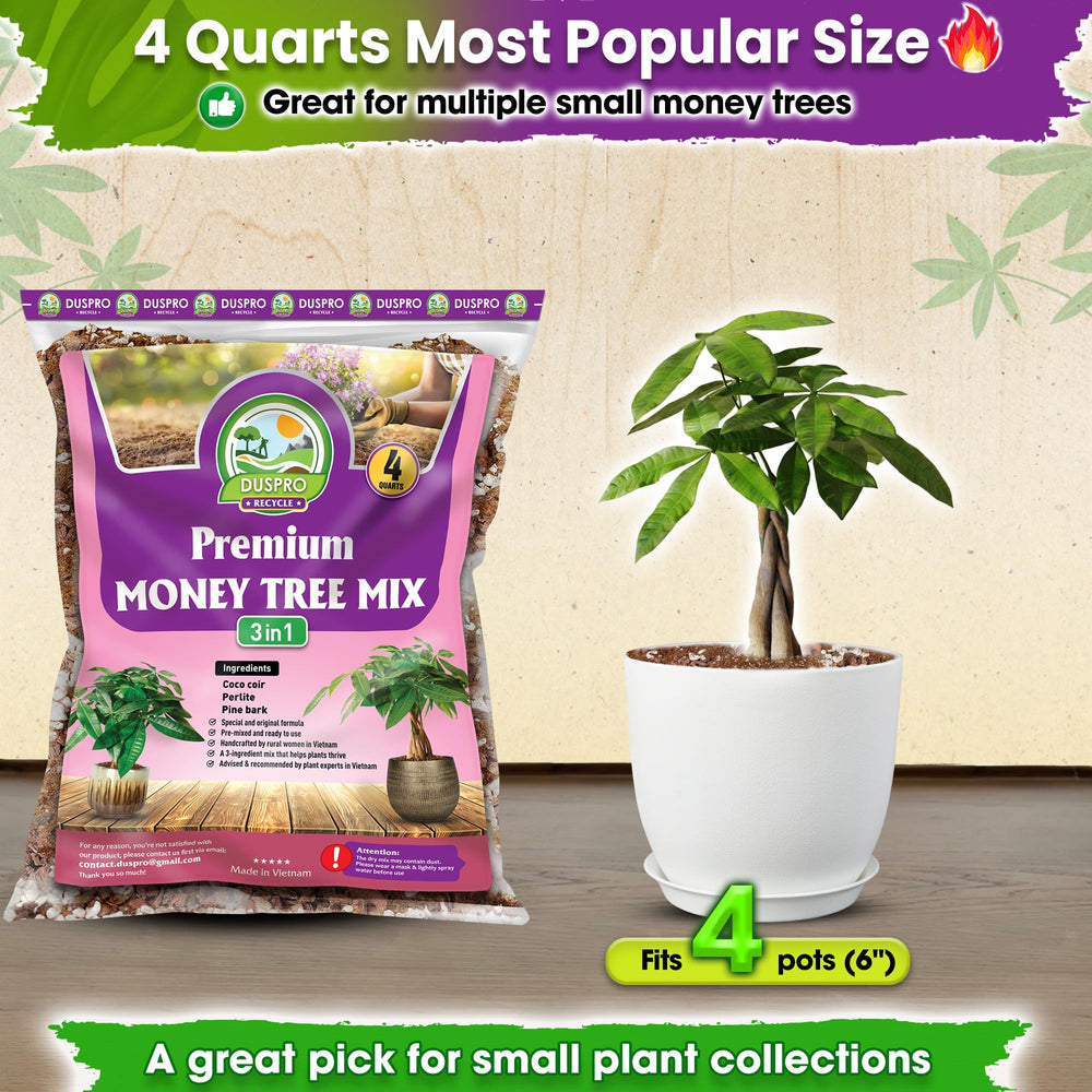 Duspro Money Tree Soil 4 Quarts alongside indoor plants